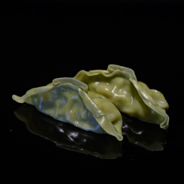 Gyoza verdura